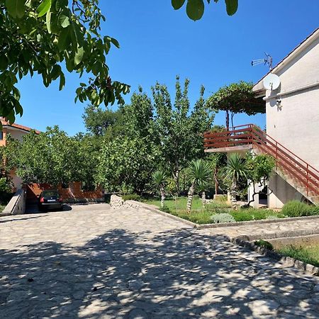 Apartments Viola Šilo Eksteriør billede